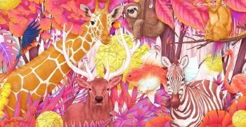 狐狸的故事睡前故事(狐狸的故事有哪些书)-第1张图片-