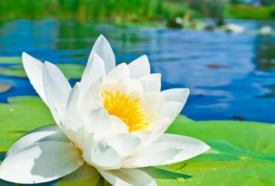 ​中国十大礼貌家长家庭礼仪家长评语