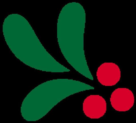 圣诞老人的故事（丨6个关于圣诞的故事）(1)