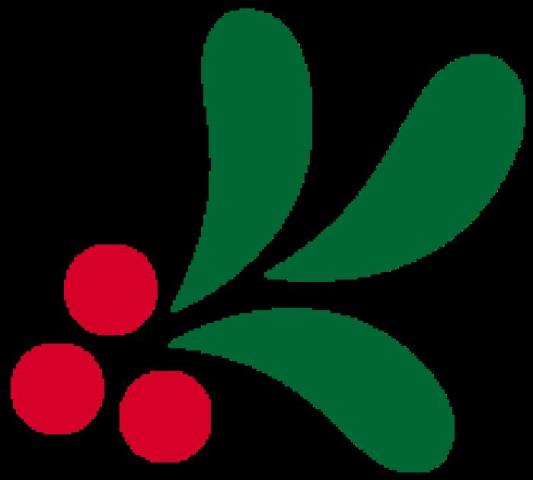 圣诞老人的故事（丨6个关于圣诞的故事）(2)