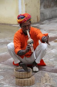 ​印度真的能与中国抗衡吗？