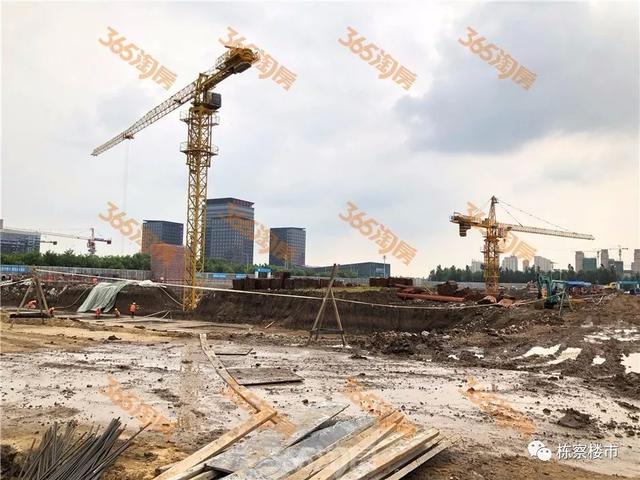 沈阳自贸区详细地址（沈阳自贸区挂牌近一年半）(15)