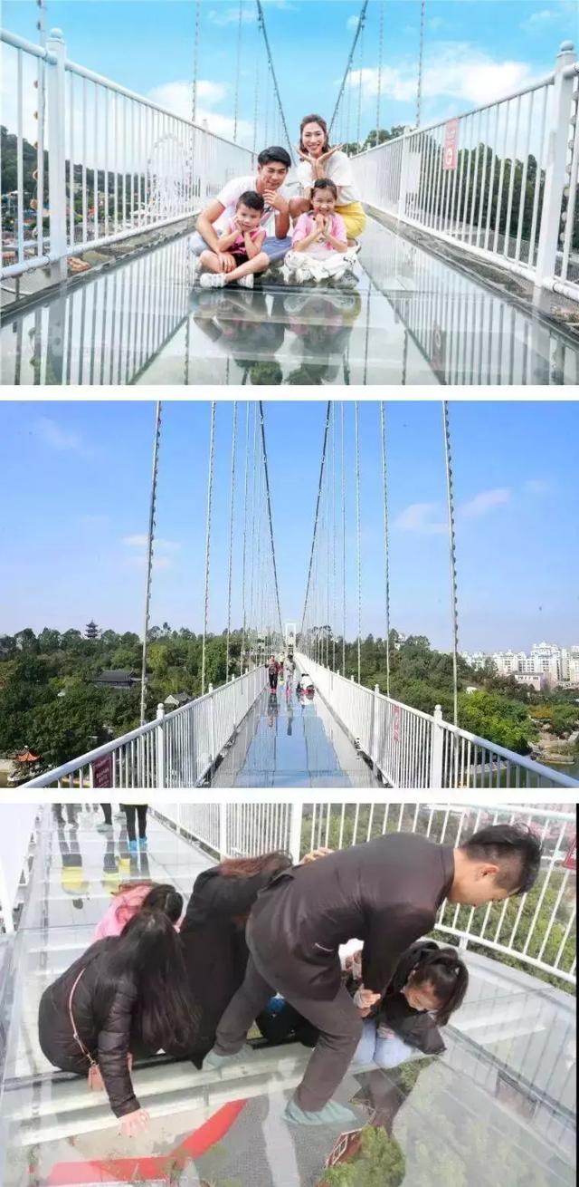 东莞隐贤山庄自由行攻略（不容错过的东莞隐贤山庄）(9)