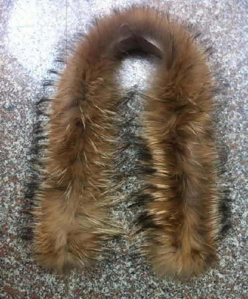 什么是貉子毛领