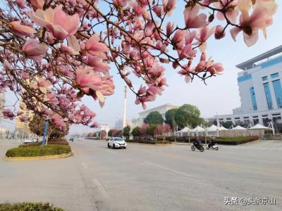 ​京山市简介（京山县名的由来）
