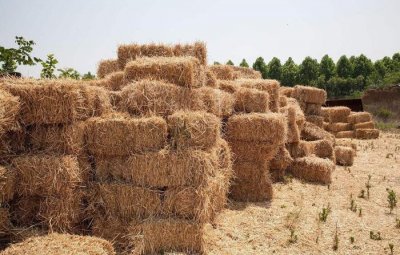 ​她好心施舍老太一顿饭, 可这老太赖着不走, 几年后才知自己做对了
