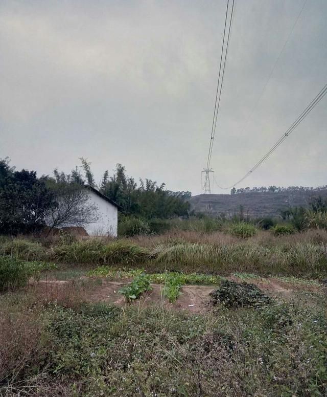 110千伏高压线安全距离,110千伏高压电线的安全距离是30米?图2