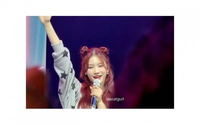 ​15条打死的告白情书（15条打死的告白情书是什么）