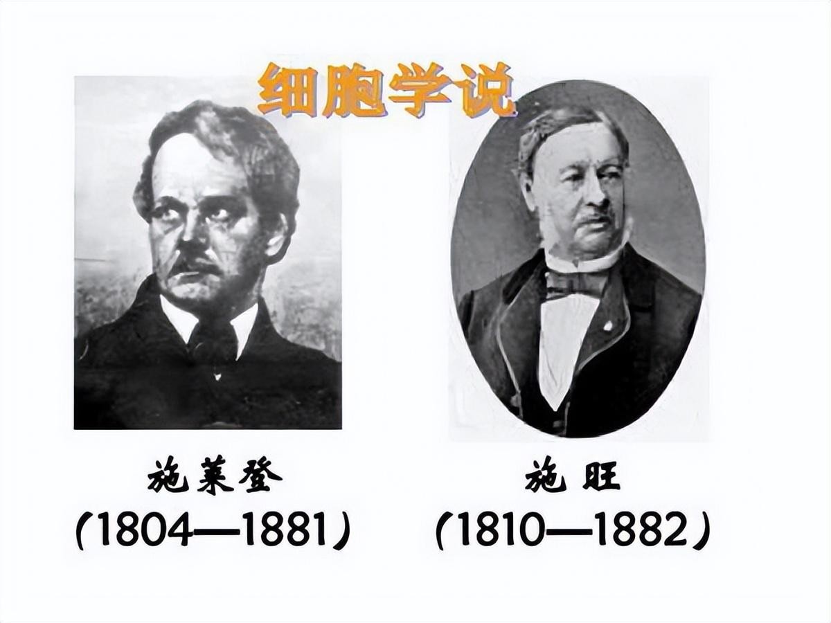 细胞学说的三条基本内容（细胞学说是谁提出的观点）