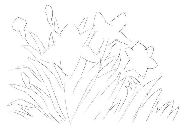 钢笔画入门基本步骤(零基础钢笔画教程)(2)