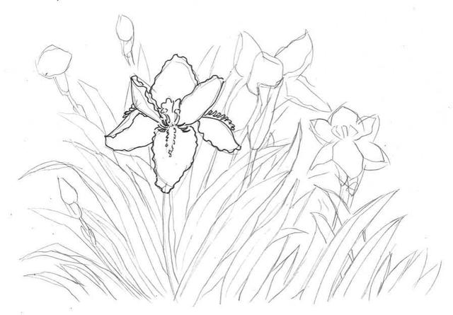 钢笔画入门基本步骤(零基础钢笔画教程)(6)