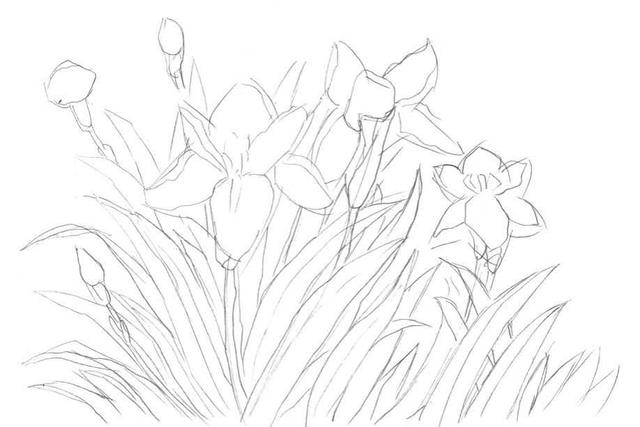 钢笔画入门基本步骤(零基础钢笔画教程)(4)