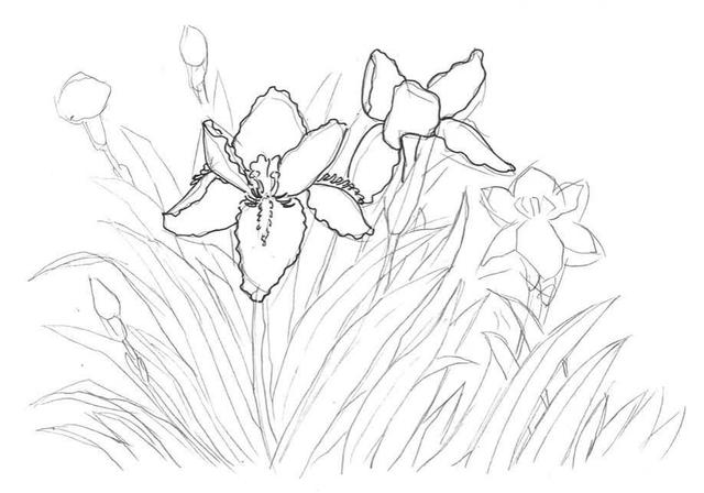 钢笔画入门基本步骤(零基础钢笔画教程)(7)