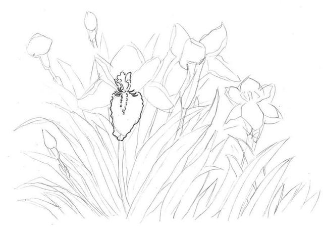 钢笔画入门基本步骤(零基础钢笔画教程)(5)