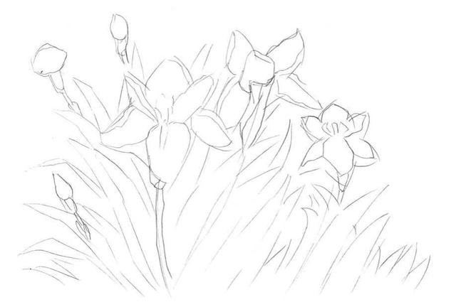 钢笔画入门基本步骤(零基础钢笔画教程)(3)