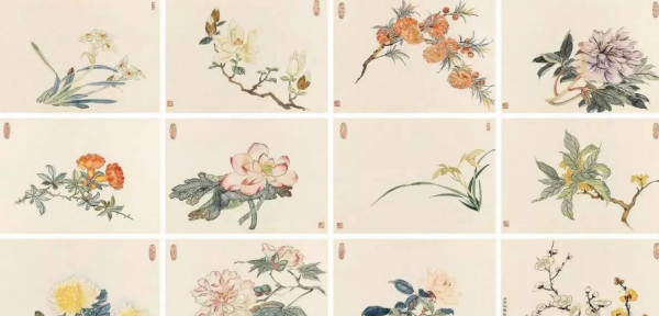 六月七月开什么花,什么花是六七月开的图4