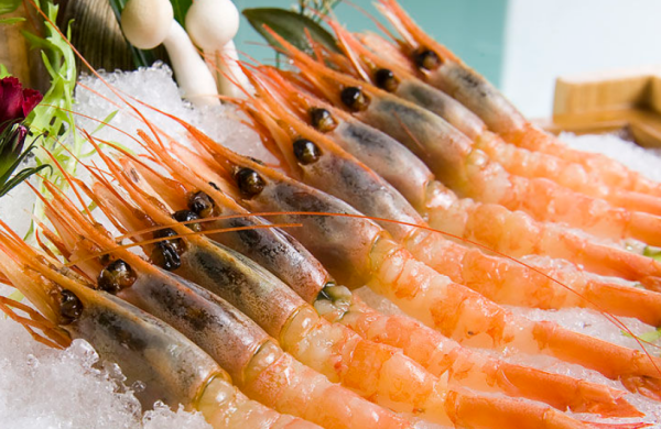 北极甜虾要去头吃,北极虾头部可以全吃?图2