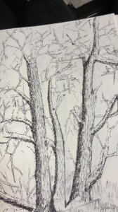 ​42度川窖多少钱一瓶_42度川窖多少钱一瓶