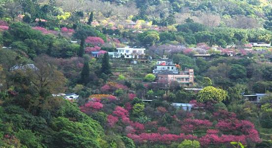 富人隐居的豪宅（原来这些名人都喜欢住半山）(2)