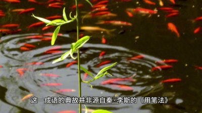 ​你知道“如鱼得水”是什么意思吗？