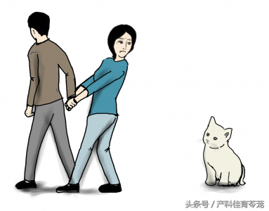 ​孕妇感染弓形虫 孕期感染之弓形虫病