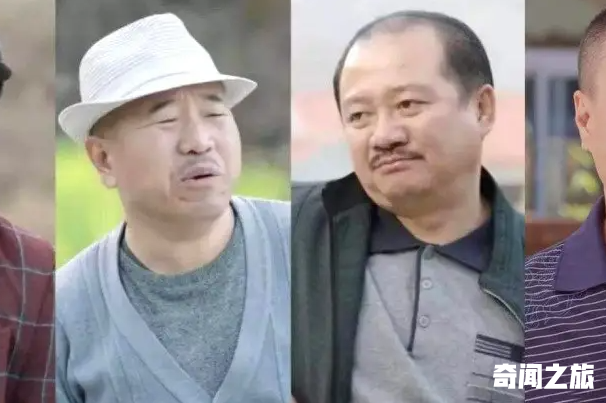 乡村爱情14部现在播了吗（乡村爱情14部2025年在哪个台播放）(3)_