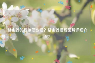 ​路由器的线该怎么插？路由器插线图解详细介绍！