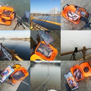 ​一分钟学会最简单的红虫保存方法