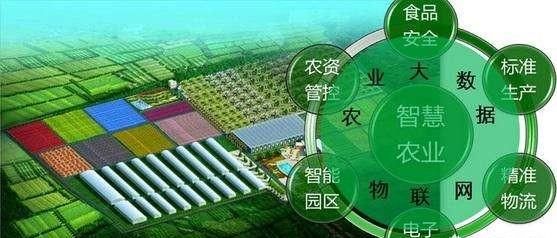 四个现代化建设是指，新中国建立以来现代化建设的巨大成就有哪些？图8
