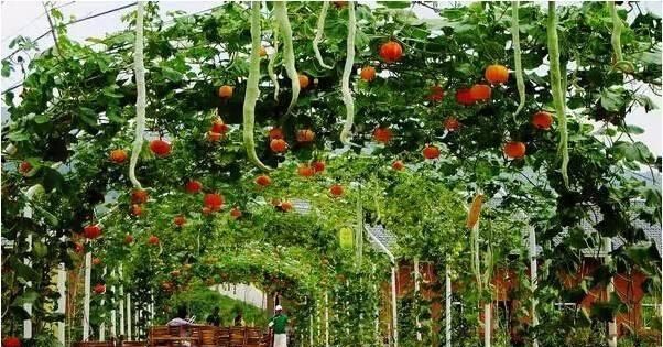 四个现代化建设是指，新中国建立以来现代化建设的巨大成就有哪些？图6