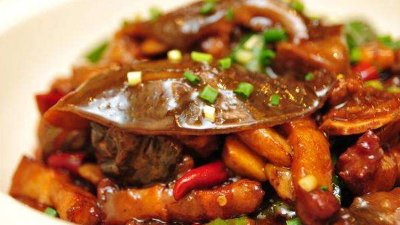 ​黄焖甲鱼做法是什么