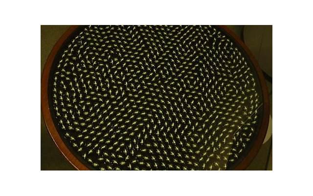 男生都起弟皮疙瘩！ 何炅说的土味情话