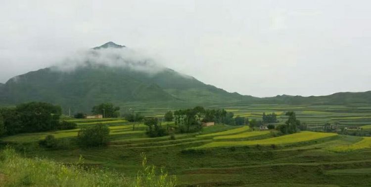 有雨山戴帽无雨半山腰的意思是什么有雨