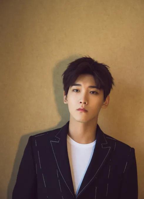 有哪些明星是河南人（带你认识娱乐圈的河南人）(7)