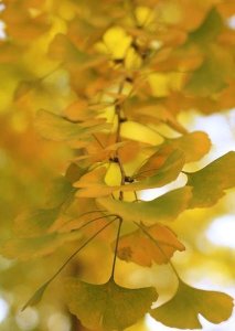 ​已婚男女每天微信聊天(两个已婚的男女天天微信聊天)