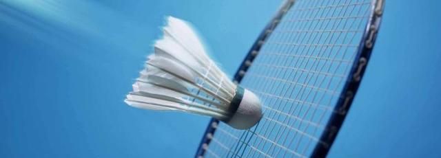 以下哪种球类运动的最高时速是最快的，球类运动速度最快的是哪个？图1