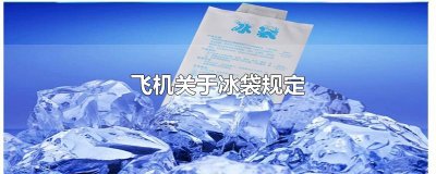 ​冰袋能带上飞机吗（飞机关于冰袋规定）