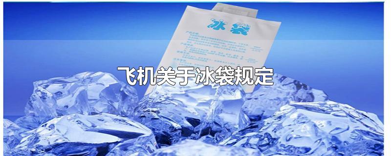 冰袋能带上飞机吗，飞机关于冰袋规定 