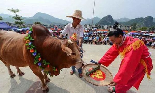 广西有什么风俗,广西瑶族过年的风俗是什么图10