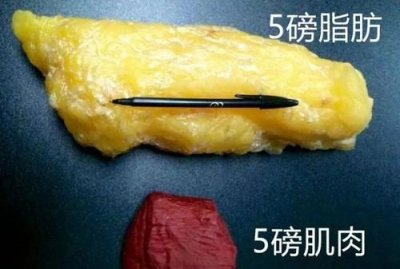 ​5磅多少斤呢,5磅是5斤吗