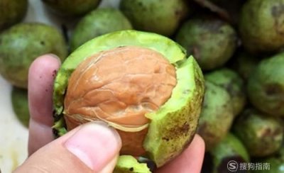 ​核桃去绿皮方法最快的办法是什么，青核桃原液染发剂怎么用？