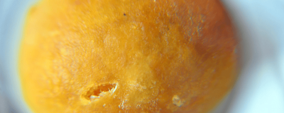 ​鸡宝怎样保存的最好方法视频讲解 鸡宝的制作方法