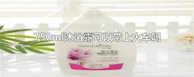 ​750ml沐浴露可以带上火车吗