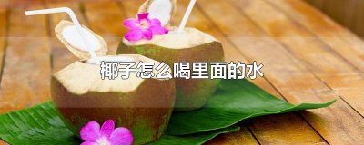 ​椰子怎么喝里面的水