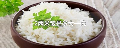 ​2两米饭是多大一碗