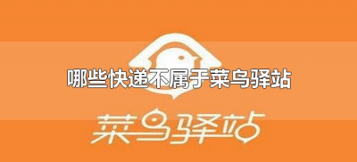 ​哪些快递不属于菜鸟驿站（菜鸟驿站不包含哪些快递公司）