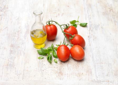 罗勒叶什么味道 罗勒叶孕妇能吃吗