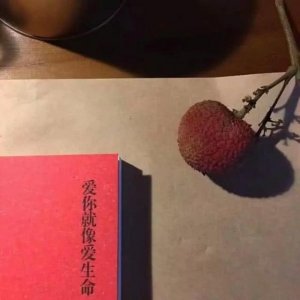 ​适合在qq空间里发的精美配图（朋友圈QQ空间美图大赏）