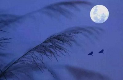 ​凉风有信,秋月无边的意思是什么