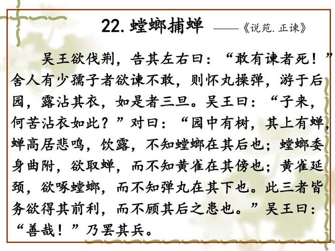 螳螂捕蝉文言文原文（有关螳螂捕蝉文言文和译文）